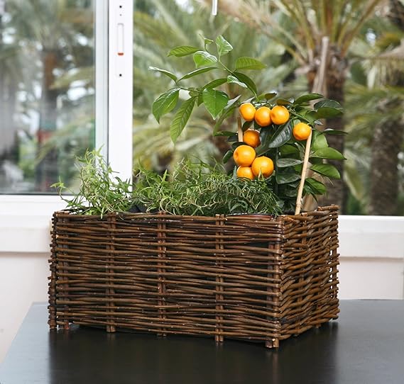 Catral 71080003 - huerto urbano kit planter, 70 x 35 x 30 cm ...