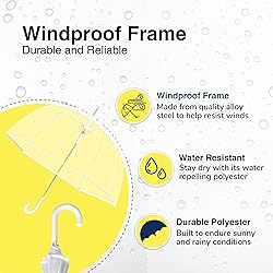 The Weather Station Clear Dome
