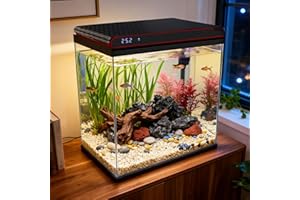 Coospider 10 Gallon Glass Fish Tank, Aquarium Starter Kit - Self-Cleaning with 3-Color LED Lights, Ultra-Quiet Pump & Filter, Smart Temperature Monitoring for Betta, Shrimp, Gift Idea