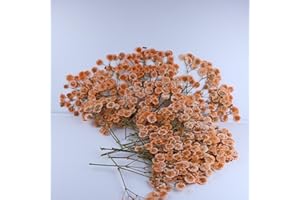 LYFORTZY 50 Pcs Orange Small Dried Babys Breath Flowers for Resin ,Real Dried Babys Breath Pressed Flower for Wedding Invitations Wax Seals ,Dry Flat Baby's Breath Flower with 1 Tweezers.