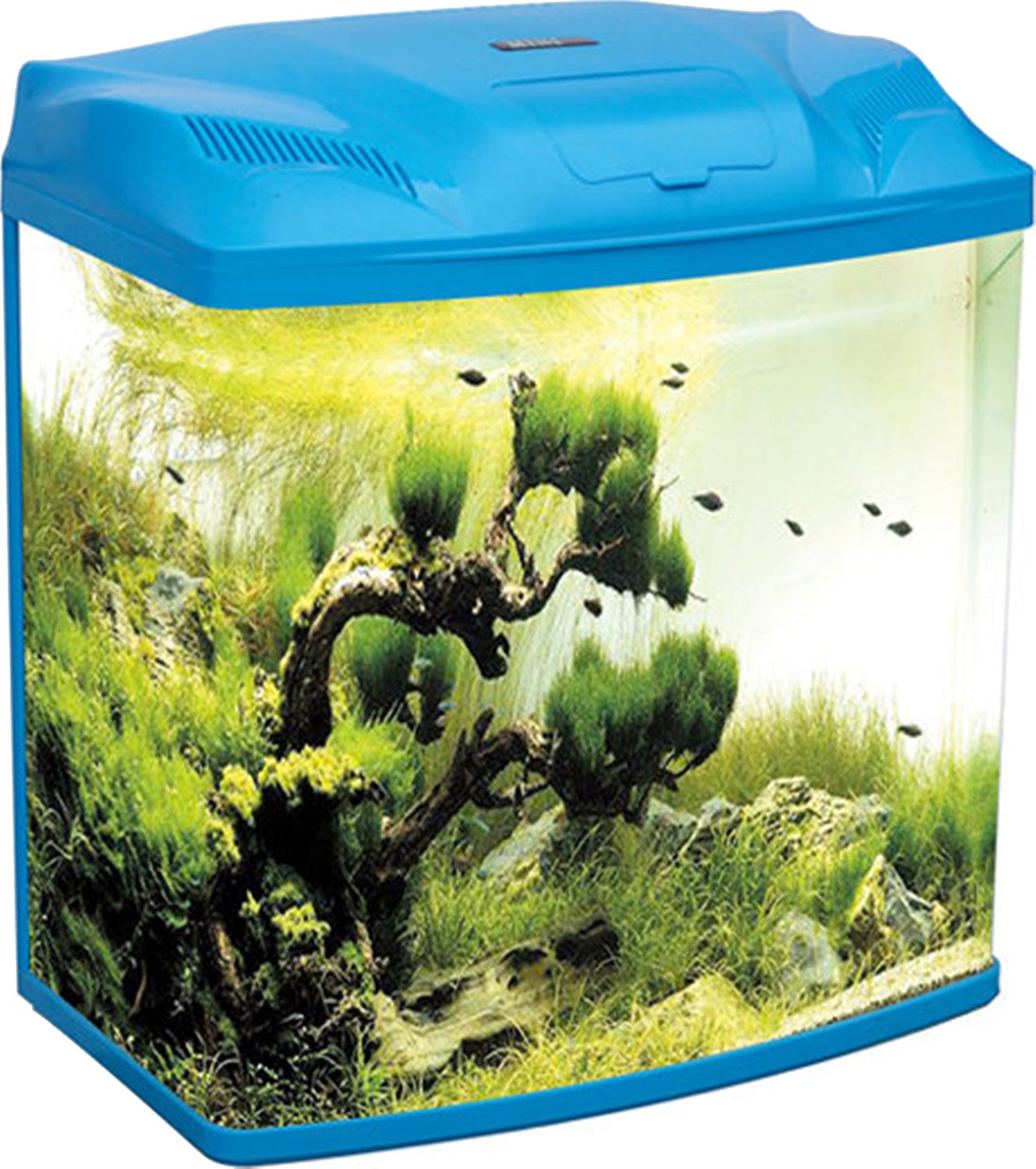 can dogs eat sourdough bread