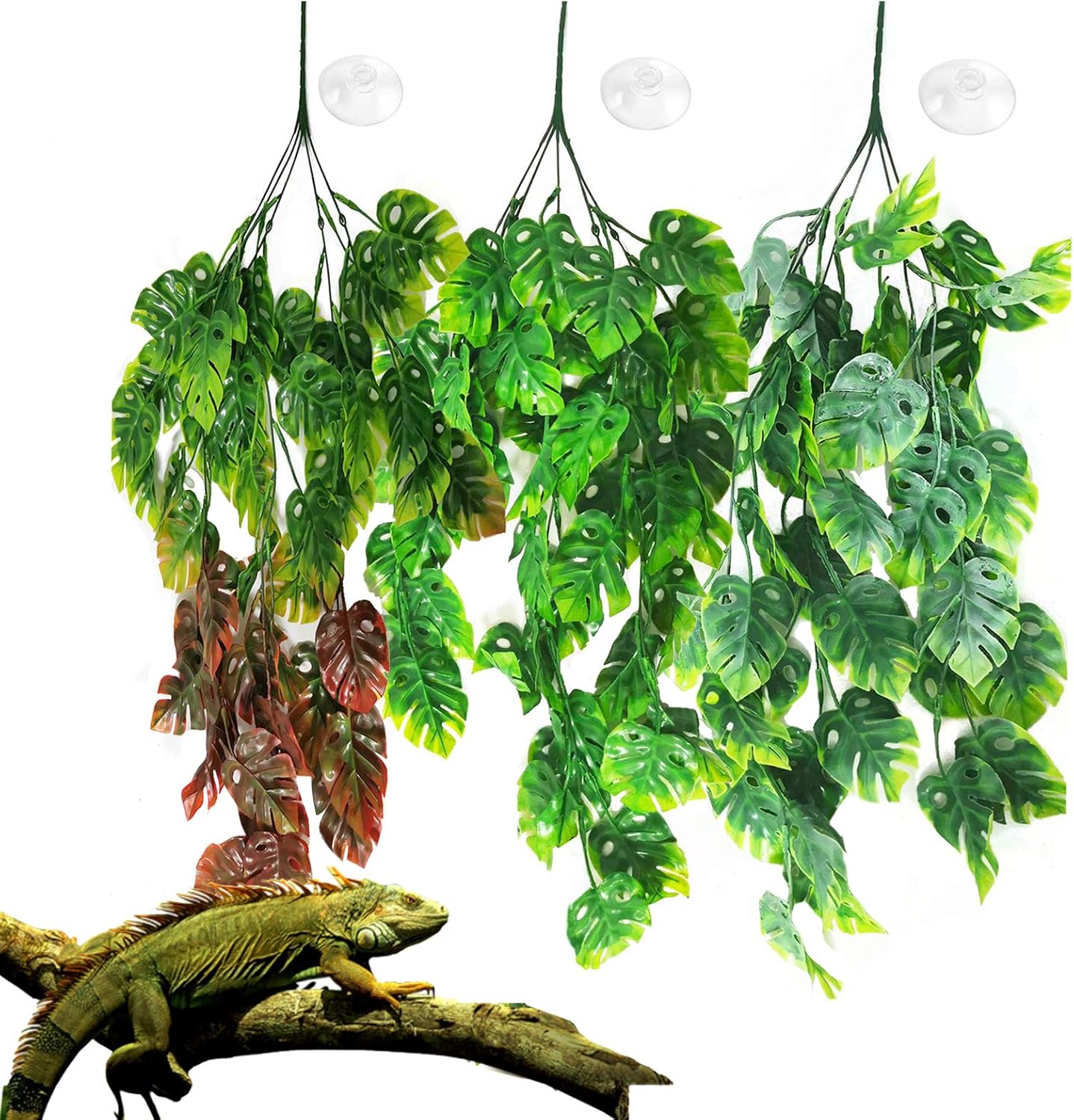 Reptile Plants 3 PCS Hanging Terrarium Plant with Suction