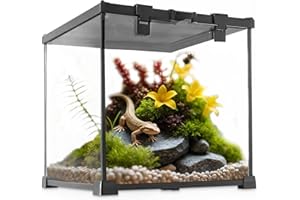 NEPTONION Mini Reptile Glass Terrarium Vivarium Full View Tank Small Amphibians Glass Habitat Cage with Feeding Slot & Box Lo