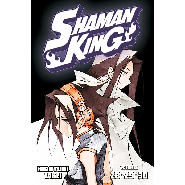 SHAMAN KING Omnibus 9 (Vol. 25-27): Takei, Hiroyuki: 9781646513895