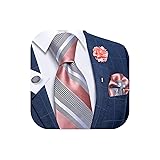 DiBanGu Silk Ties for Men Necktie and Lapel Pin