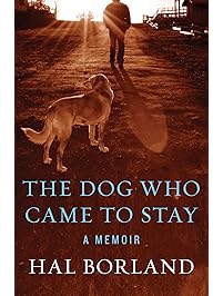 The Dog Who Came to Stay: A Memoir