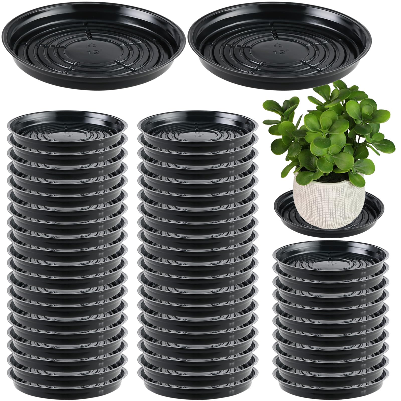 Drain Trays For Plants