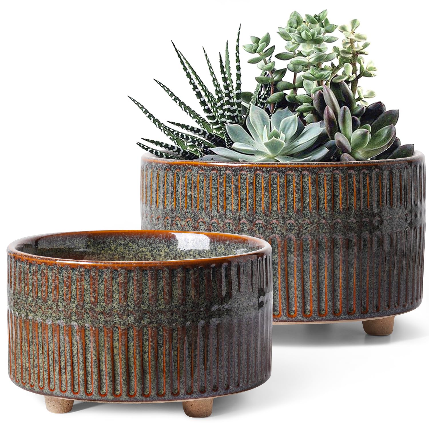Photo 1 of LE TAUCI Succulent Pots, 6.5+8 Inch Ceramic Pots for Plants Indoor, Shallow Round Succulent Planters with Drainage Hole, Set of 2, Reactive Glaze Black