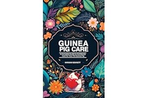 Guinea Pig Care: A Complete Guide to Confidently Care for Your Pet Guinea Pig