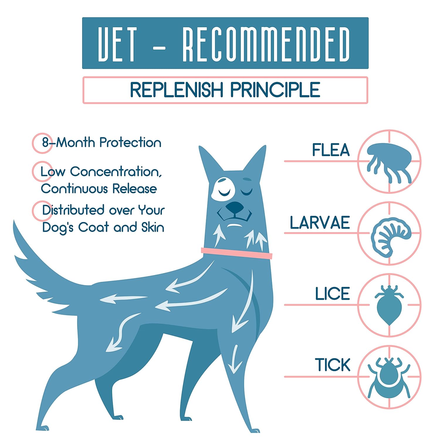 Reviews Dog Flea and Tick Control Collar Treatment and Prevention for