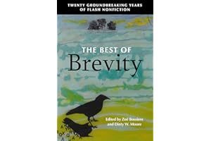 The Best of Brevity: Twenty Groundbreaking Years of Flash Nonfiction