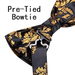 Hi-Tie Mens Suit Vest Bowtie Set Ties for Men V