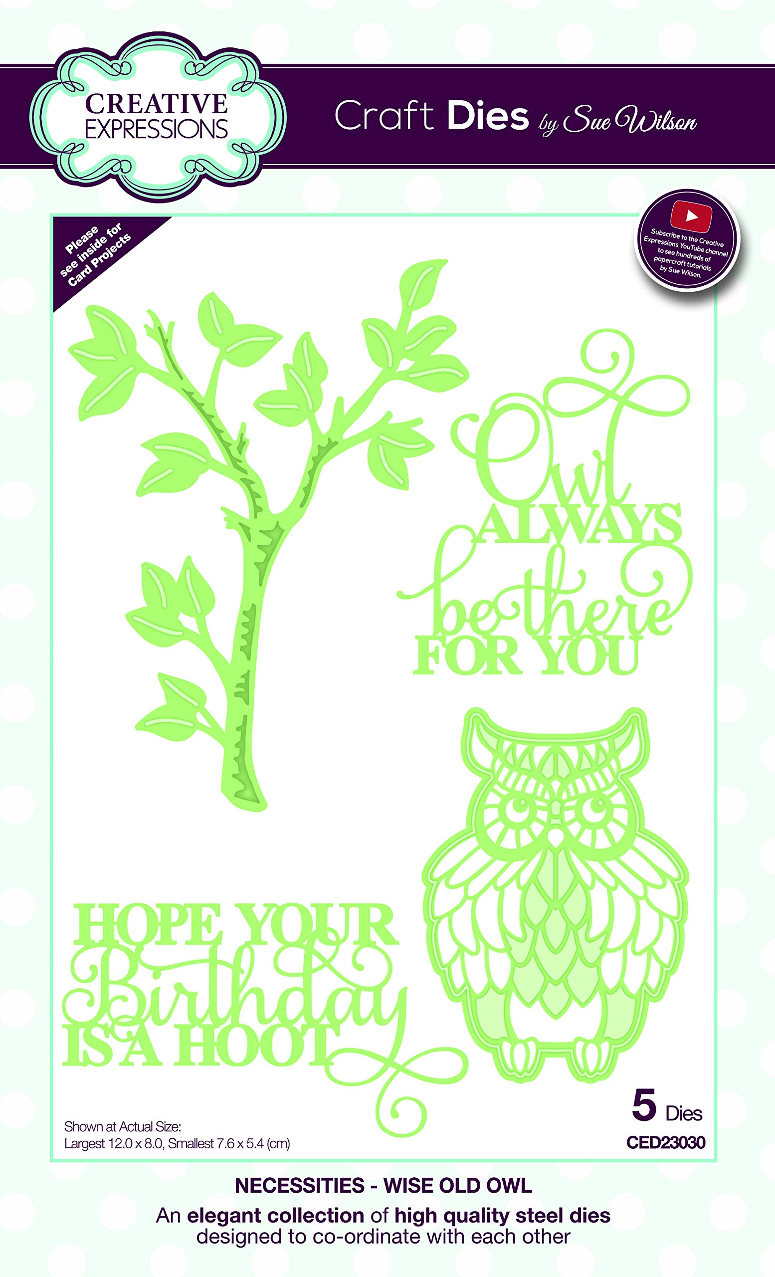 Sue Wilson CED23030 Necessities Collection Die-Wise Old Owl, Metal, 12 x 8 cm