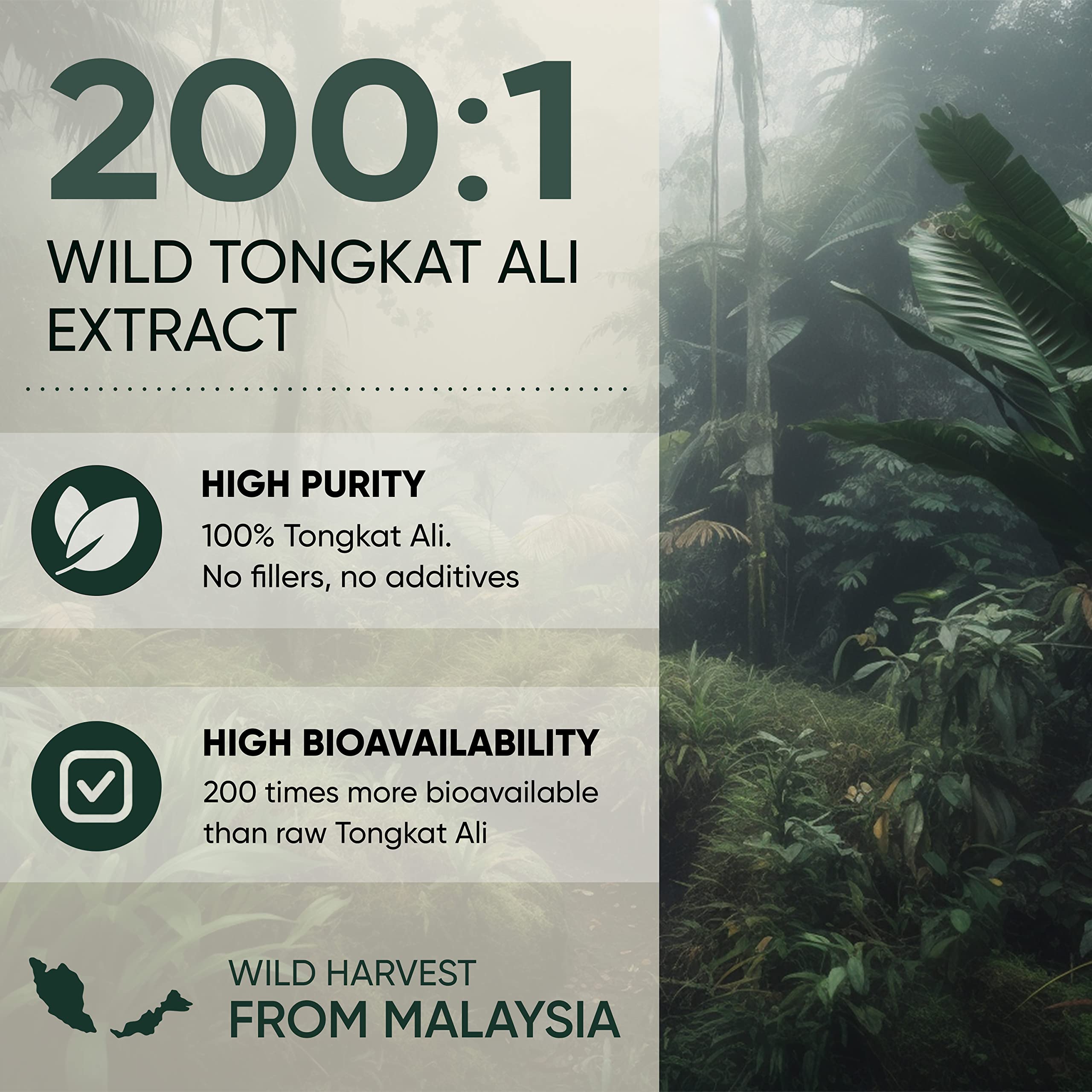 Tongkat Ali for Men 282 Servings, Fadogia Agrestis Extract Powder 313 Servings, Black Ant 30:1 Concentration 94 Servings 5oz Supplement Mens Health Support for Drive & Passion