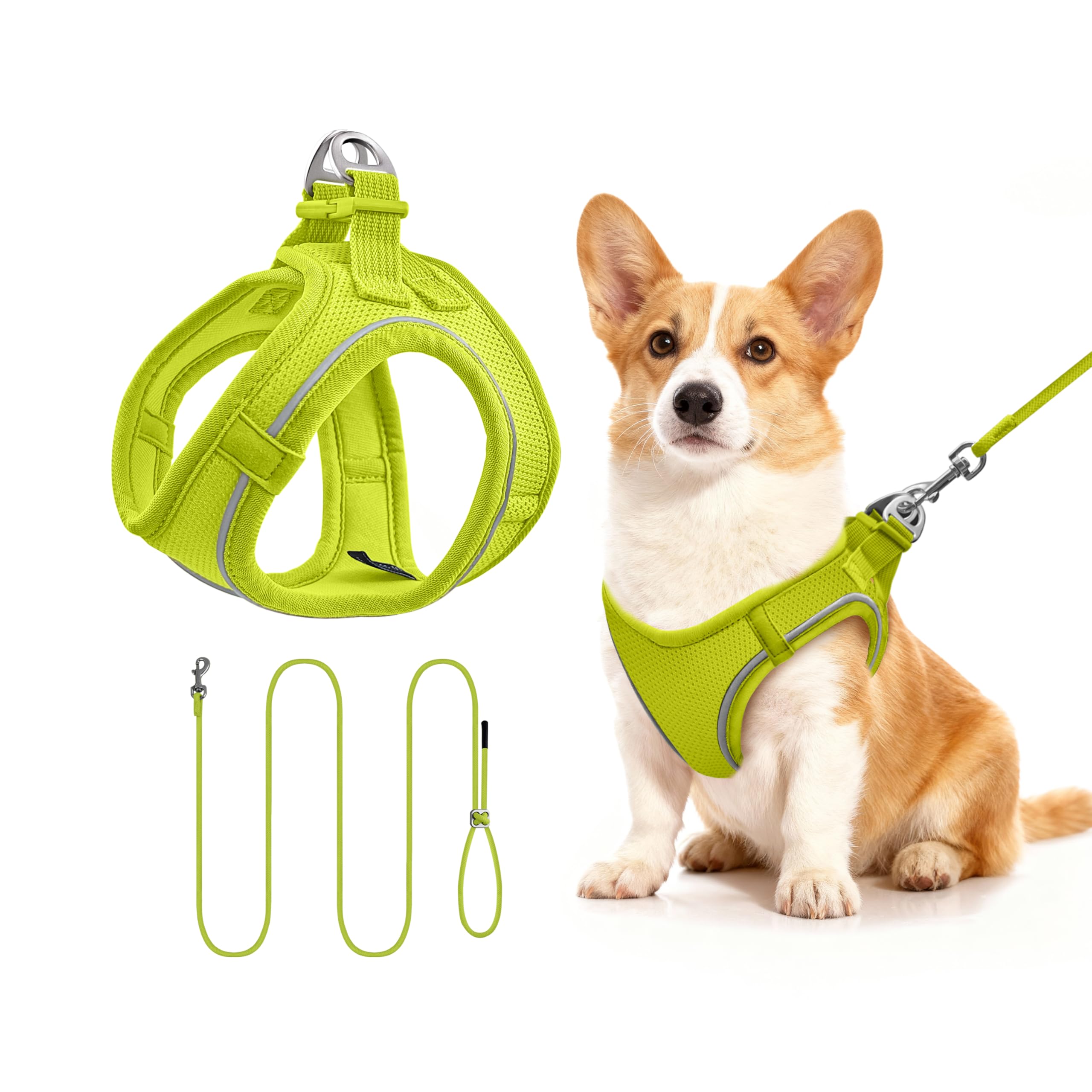 Qianruida Harness and Leash for Cat or Puppy - Adjustable Set in Soft Nylon, Secure Comfort for Walking, Training, Outdoor, Small Animals, Easy to Put On and Take Off, Lemon Green, M