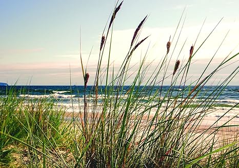 Get Strand kuestenwanddekor Desktop Wallpaper Free Strand Kuestenwanddekor