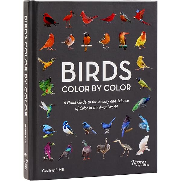 Color and Meaning: Art, Science, and Symbolism: Gage, John