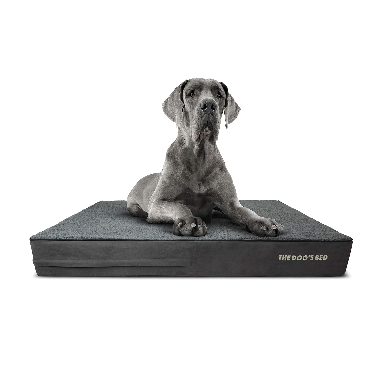 cama perro amazon