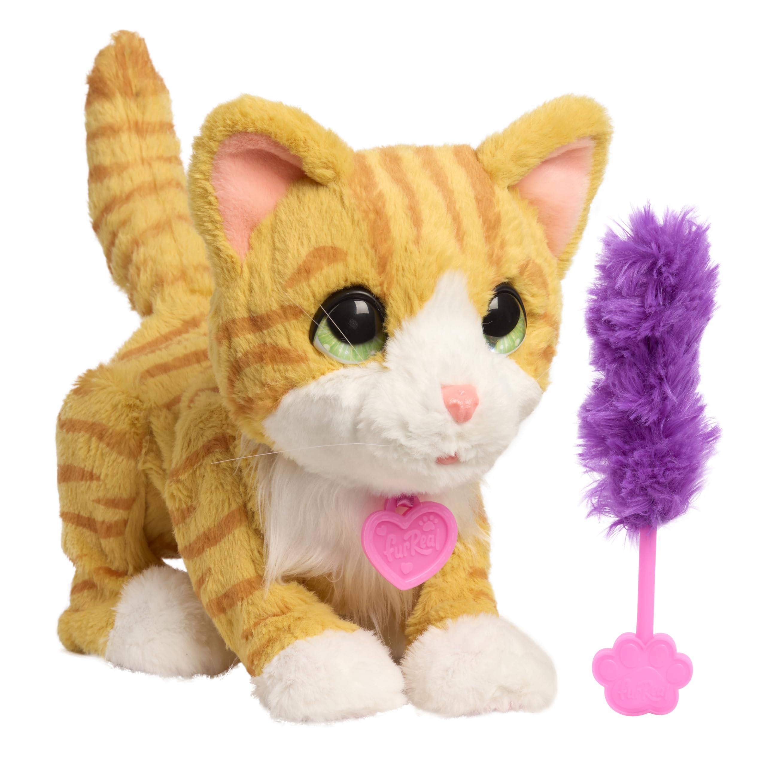 Photo 1 of FurReal Bella The Biscuit-Making Kitty, 10 Inch Interactive Cat Toy, for Boys and Girls, Ages 4 and Up, Kids Toys for Ages 4 Up by Just Play