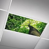 SCWISOAS Fluorescent Light Covers for Ceiling