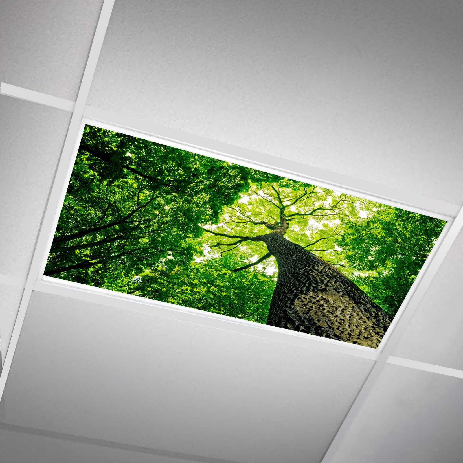SCWISOAS Fluorescent Light Covers for Ceiling