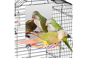 Colorday 7" Bird Mirror with Rope Perch, Bird Swing, Parrot Cage Toys for Parakeet African Grey Conure Cockatiel Lovebird Finch Canarie, Medium