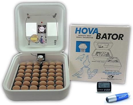 Hovabator Deluxe Egg Incubator Combo Kit Home Improvement Amazon Com