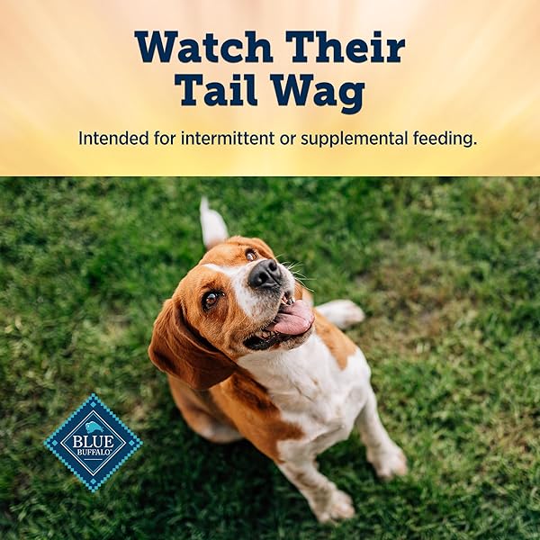 BLUE BUFFALO TRUE CHEWS PREMIUM JERKY CUTS DOG TREATS WITH NATURAL INGREDIENTS CHICKEN