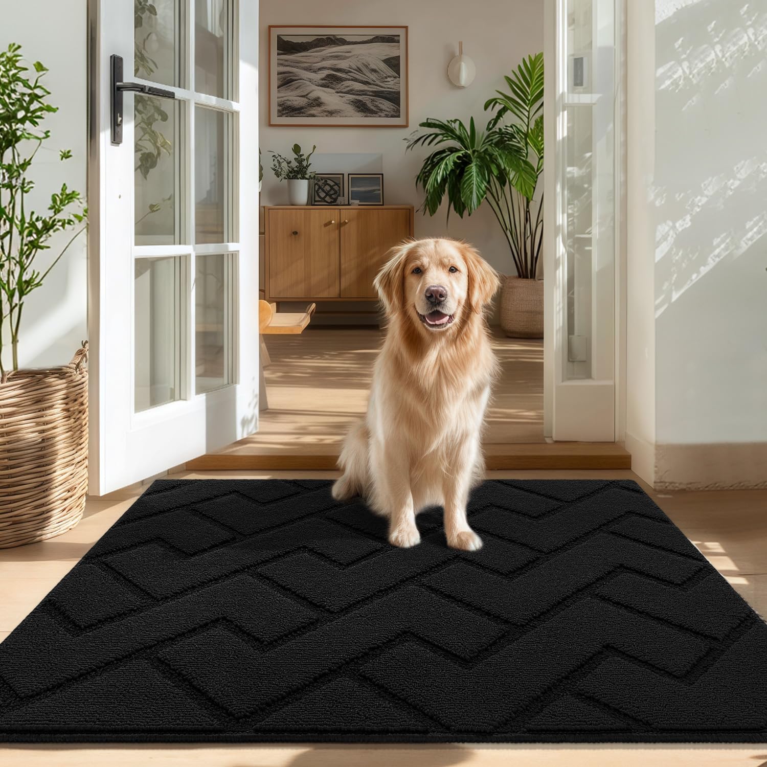 Biscpro Door Mat, 80x100cm DoorMat Indoor Washable, Doormat Indoor Dirt Trapper Non-slip,Absorbent Inside Entrance Rug Mat for Entryway,Patio,Garden,Laundry Room,Pets - Black