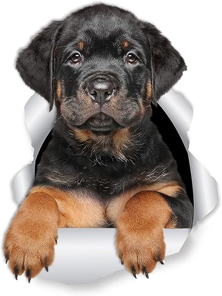 Amazon Winston Bear ロットワイラー 子犬 ウォールデカール 2パック Rottie Dog Toilet ステッカー 3d 犬 カーウィンドウ バンパーステッカー 小売パッケージ ロットワイラー 愛好家 ギフト ウォールステッカー オンライン通販