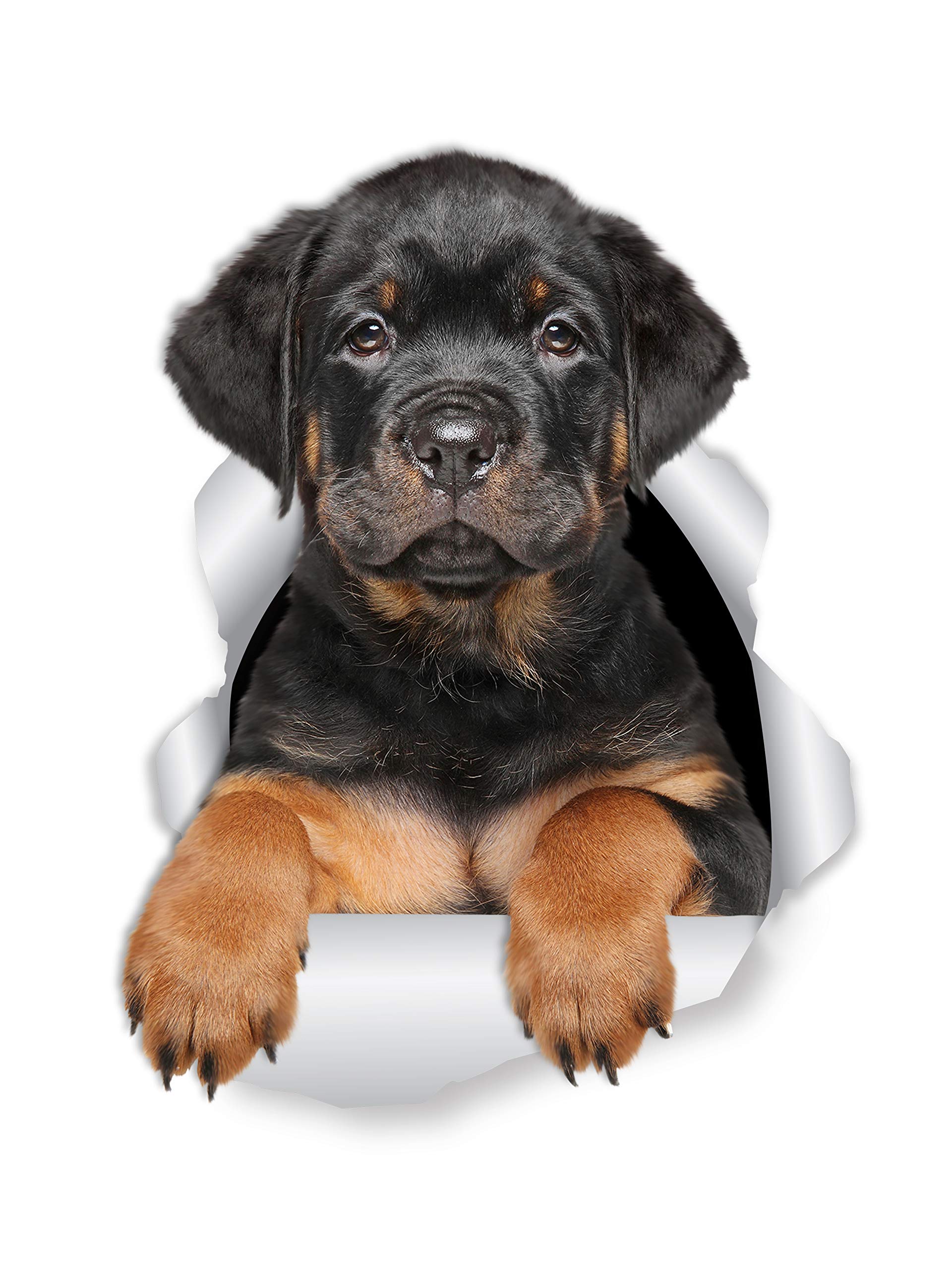 Winston & Bear 3D Rottweiler Puppy Stickers - 2 Pack - Rottweiler Wall Decals - Dog Lover Gifts - Dog Stickers for Bedroom - Fridge - Toilet - Car - Retail Packaged