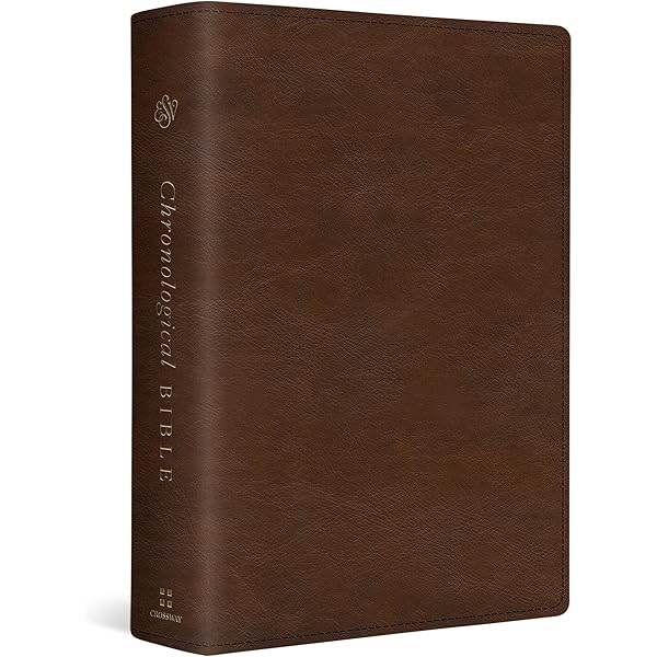 NIV, Chronological Study Bible, Leathersoft, Black, Comfort Print