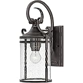 Hinkley Casa Medium Wall Mount Outdoor Lantern, Wrought Iron Details, Hand Forged Scrolling, Clear Seedy Glass, Aluminum, Old