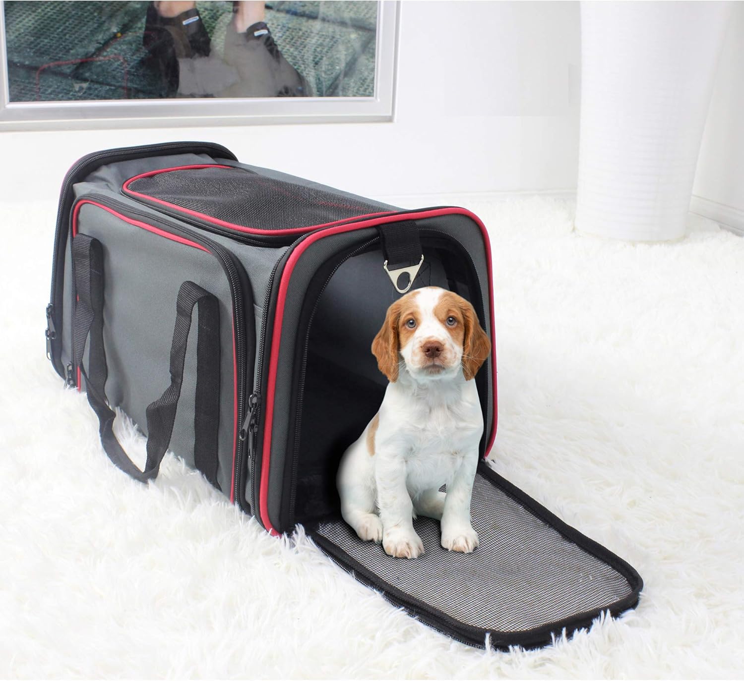 Top loading pet carriers Clearance
