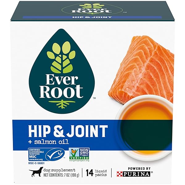 EVERROOT DOG JOINT HEALTH SUPPLEMENT BY PURINA, HIP AND JOINT SUPPLEMENT LIQUID PACK WITH SALMON OIL – 14 CT. BOX