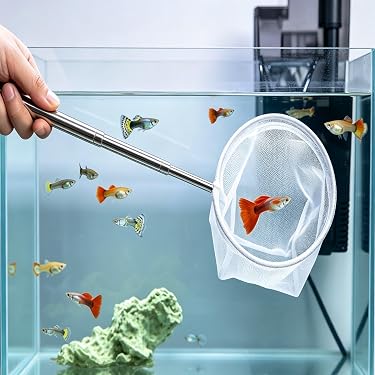 Amazon.com New Releases: The best-selling new & future releases in Aquarium Nets