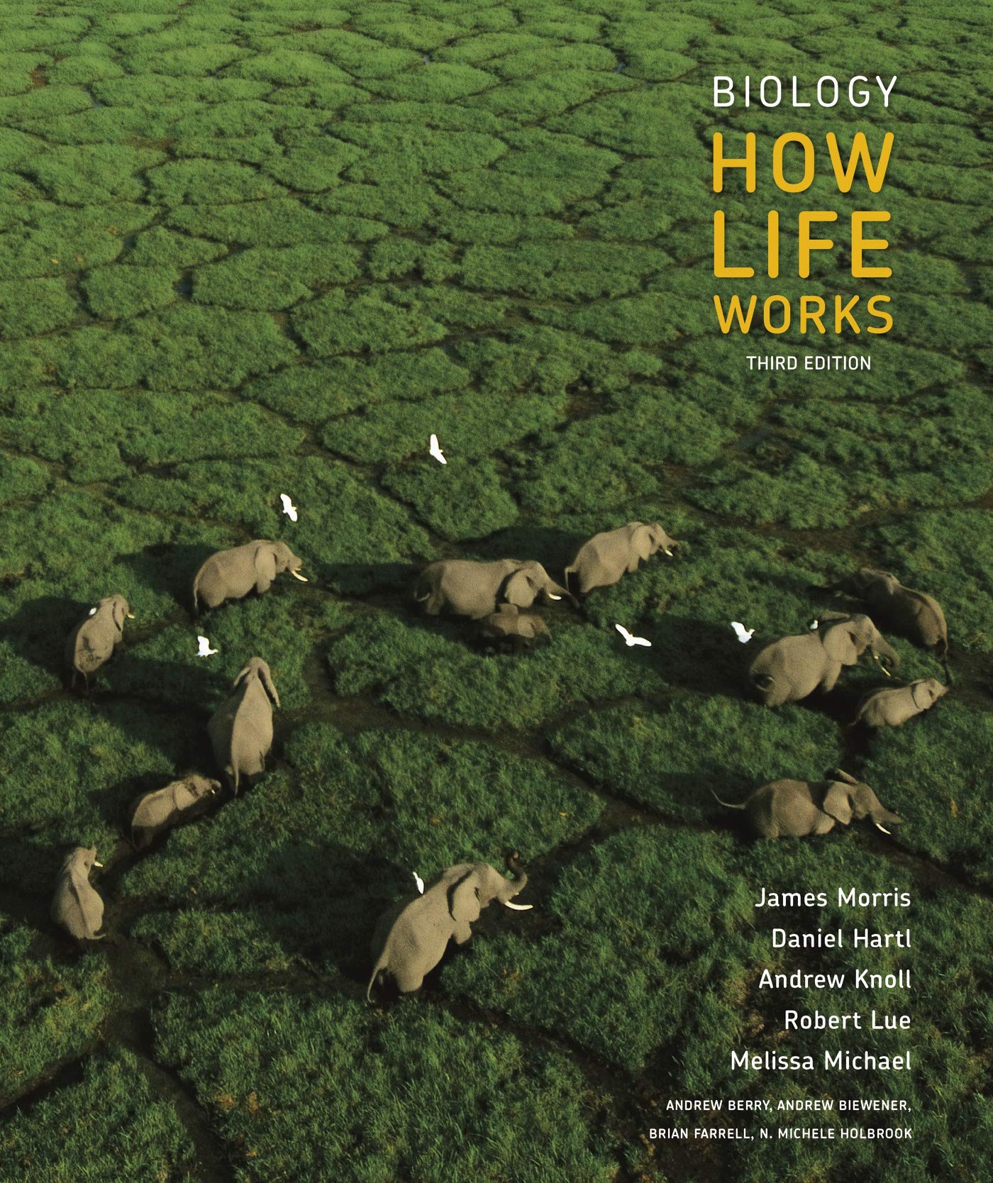 Buy Biology How Life Works Book Online At Low Prices In India Biology How Life Works Reviews Ratings In