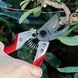 Kimura 8" Pro Bypass Garden Secateurs - Heavy Duty SK5 Japanese Steel view 5
