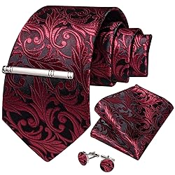 DiBanGu Silk Paisley Ties for Men Woven Necktie and