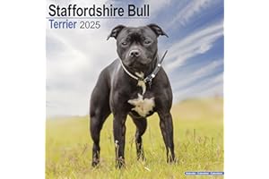 Staffordshire Bull Terrier Calendar 2025 | Square Dog Breed Wall Calendar - 16 Month