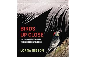 Birds Up Close: An Engineer Explores Their Hidden Wonders