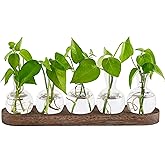 Desktop Plant Propagation Glass Vase Station Retro Plant Terrarium with Wooden Tray Bulb Flower Vase Container Perfect for Pr