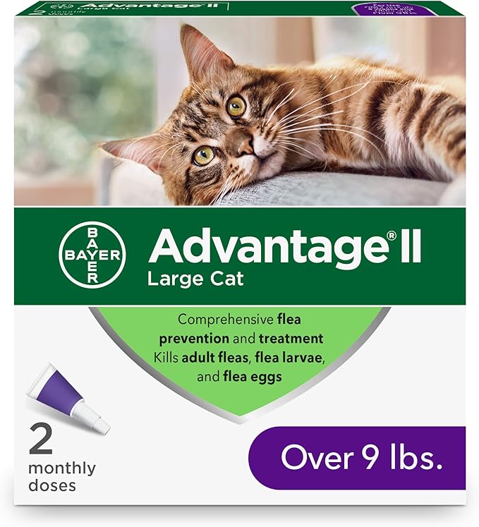 advantage 80 for cats