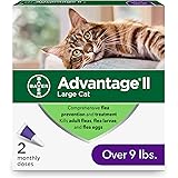 drontal for cats amazon