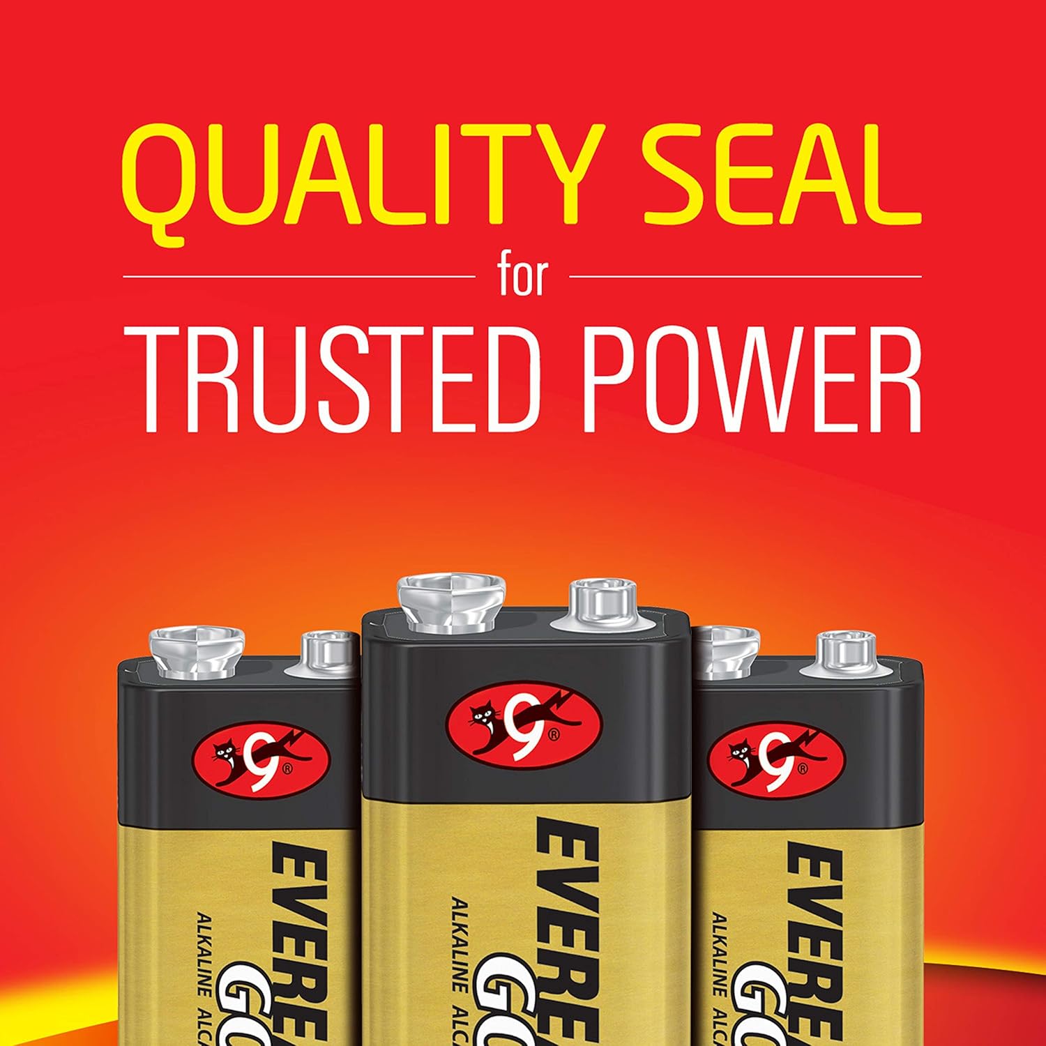 EVEREADY 9V Battery, 9 Volt Alkaline (1 Count): Health & Personal Care