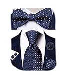 Hi-Tie Navy Gold Plaid Ties and Self-tied Bowtie