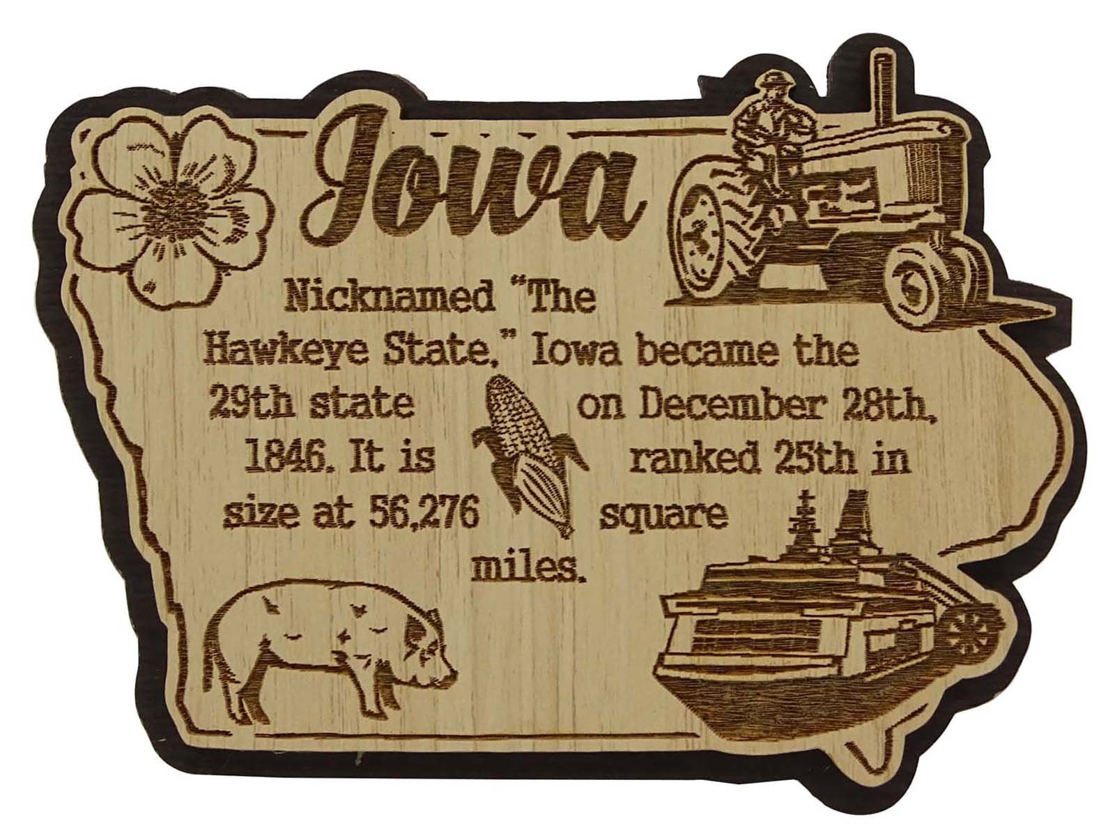 Printtoo USA Iowa State Map Wooden Magnet Souvenir Fridge Magnet Gift