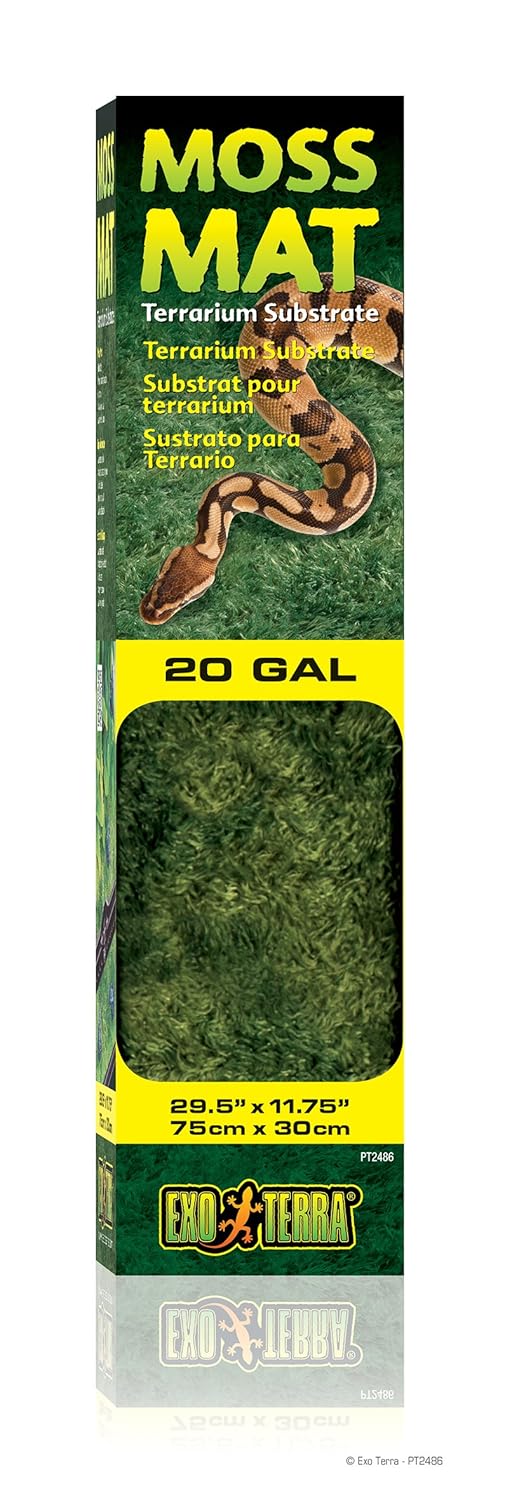 Best exo terra reptile carpet
