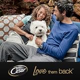 Cesar Country Stew Adult Wet Dog Food Mixed Selection 4 x 150 g Trays view 7