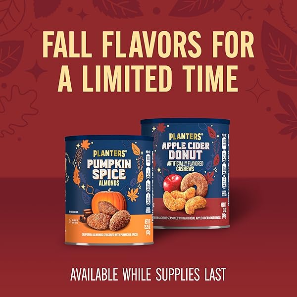 PLANTERS APPLE CIDER DONUT CASHEWS 13OZ